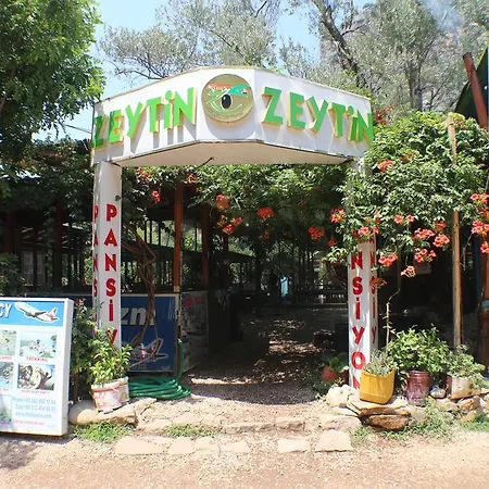 Bed and Breakfast Olympos Zeytin
